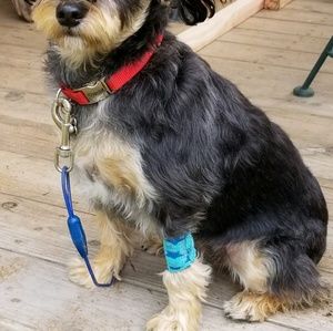 Meet your Posher, Janice